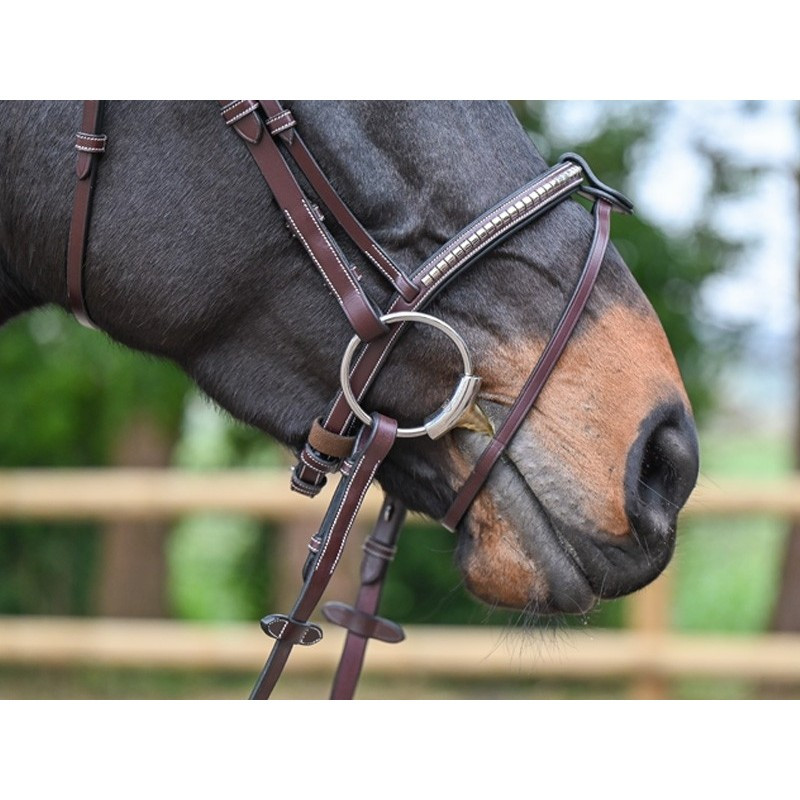Clincher Bridle - One