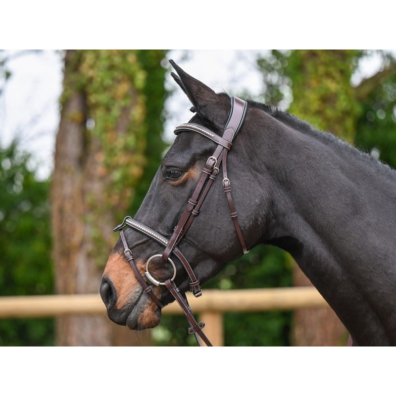 Clincher Bridle - One