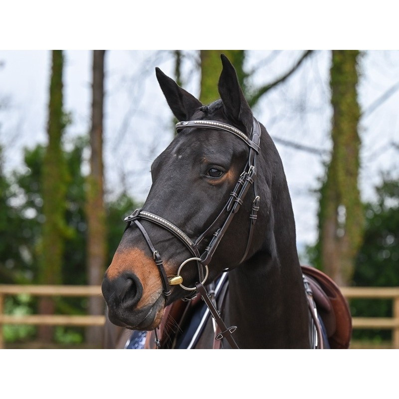 Clincher Bridle - One