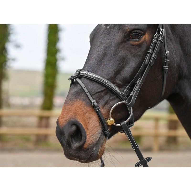 Clincher Bridle - One