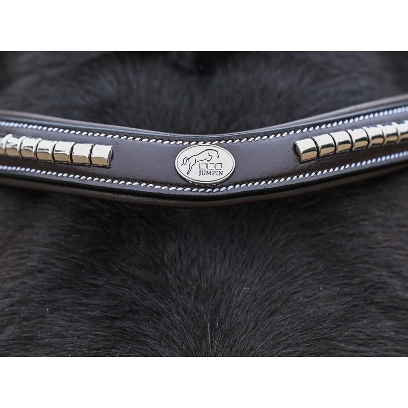 Clincher Bridle - One
