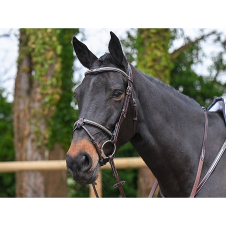 Clincher Bridle - One