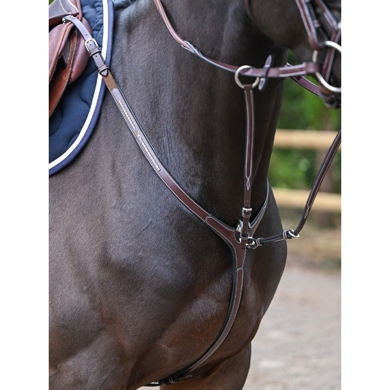 Clincher Breastplate and martingale - One