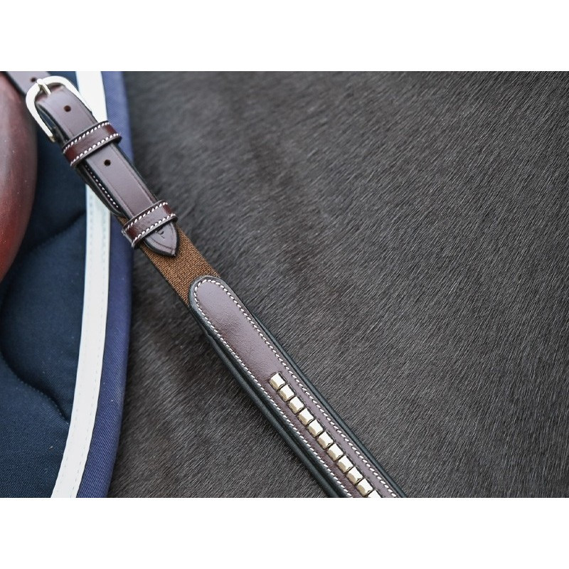 Clincher Breastplate and martingale - One