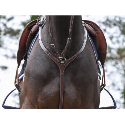 Clincher Breastplate and martingale - One