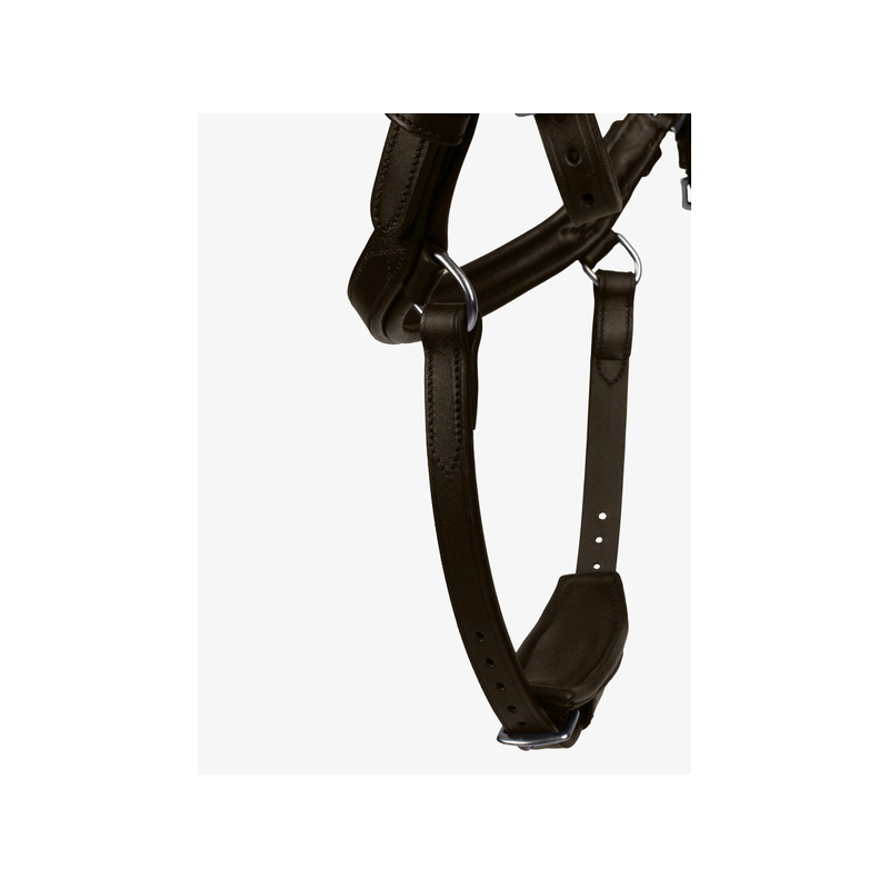 Bridle King Edward by Henrik von Eckermann
