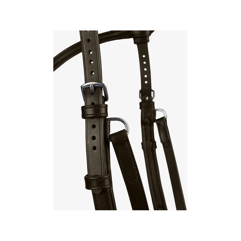 Bridle King Edward by Henrik von Eckermann