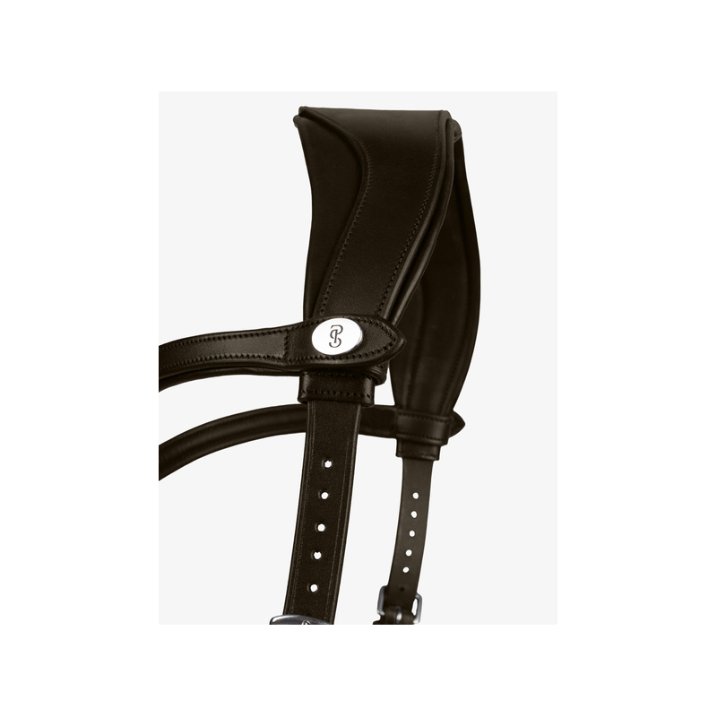 Bridle King Edward by Henrik von Eckermann
