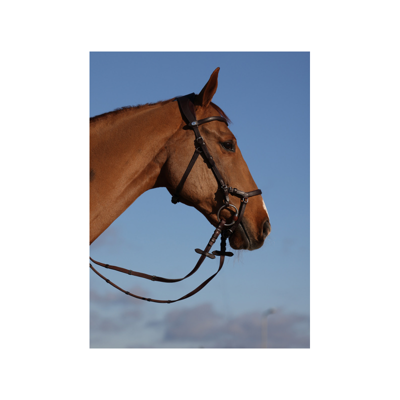 Bridle King Edward by Henrik von Eckermann