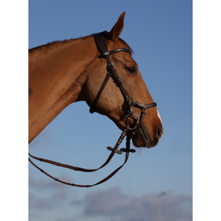 Bridle King Edward by Henrik von Eckermann