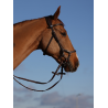 Bridle King Edward by Henrik von Eckermann