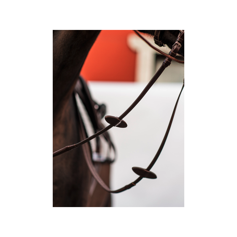 Rubber Reins