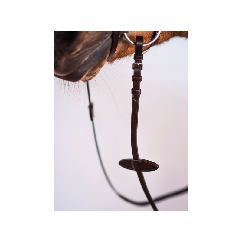 Rubber Reins