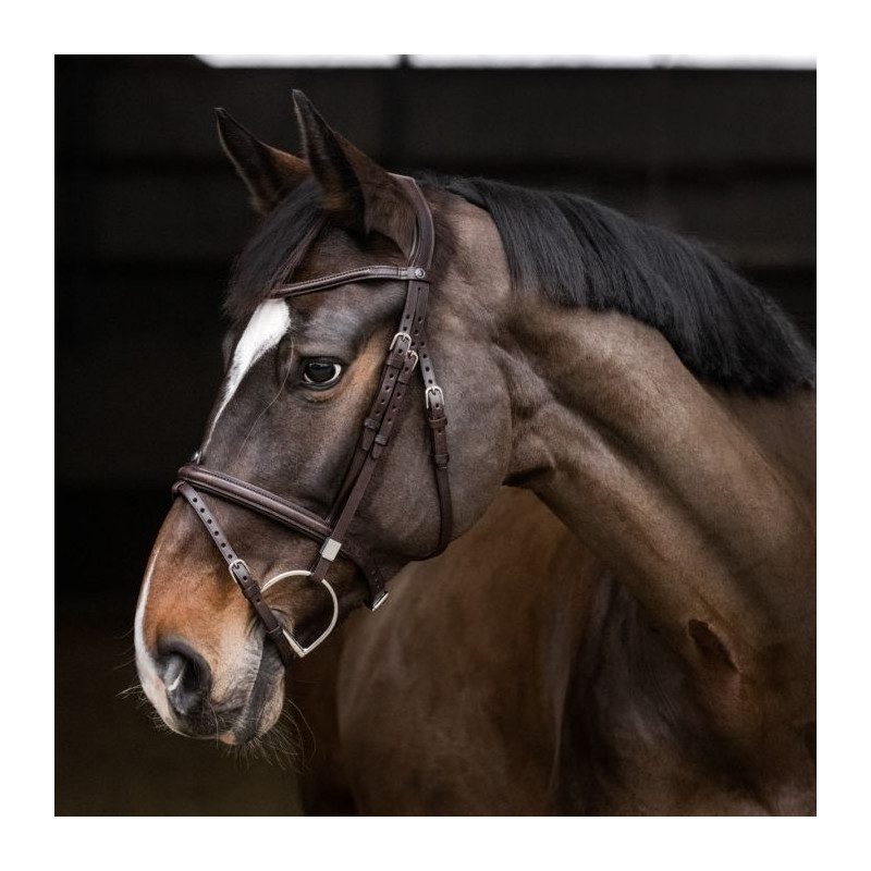 Pro-Jump Bridle noseband combined Stubben