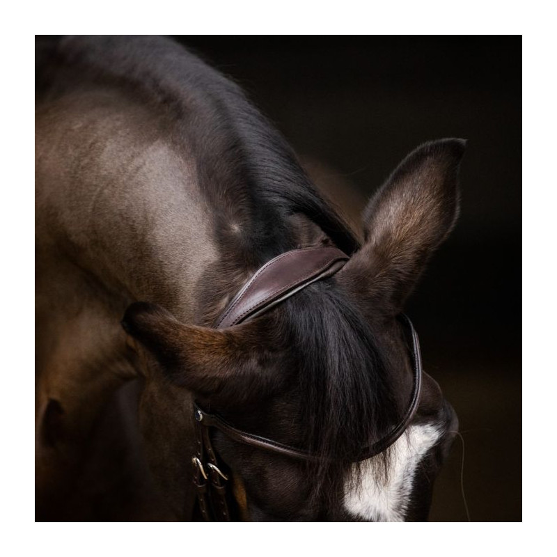 Pro-Jump Bridle noseband combined Stubben