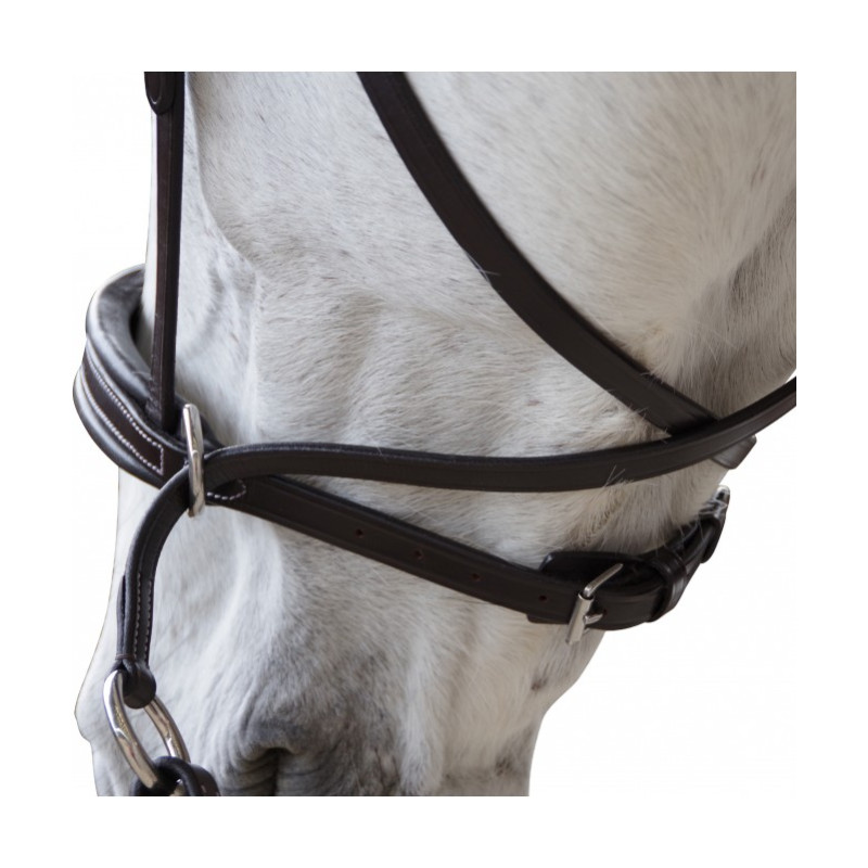 Bitless Bridle STAR - reins