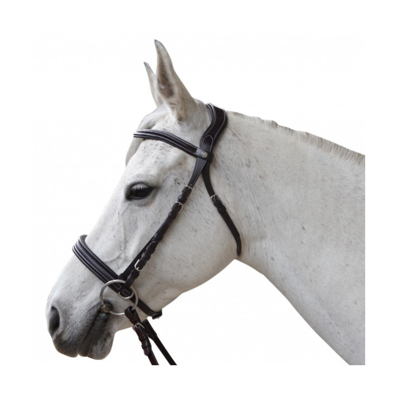 Bitless Bridle Canter - Privilège