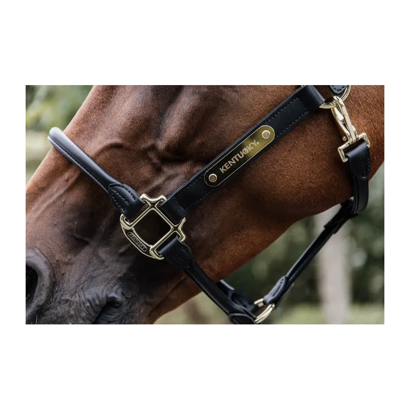 Anatomic Leather Halter - Kentucky