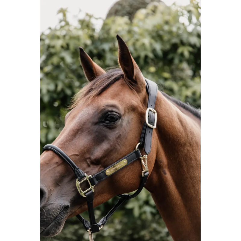 Anatomic Leather Halter - Kentucky