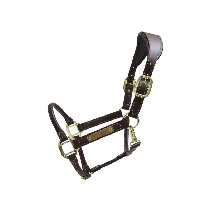 Anatomic Leather Halter - Kentucky