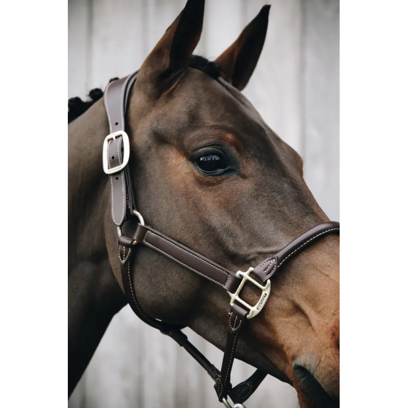 Anatomic Leather Halter - Kentucky