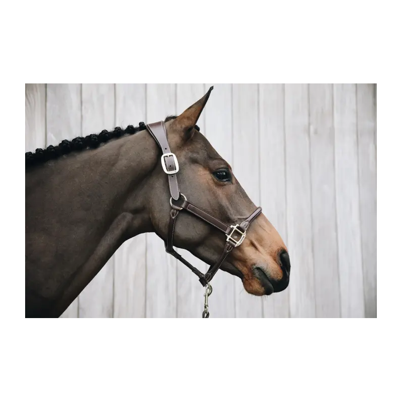 Anatomic Leather Halter - Kentucky