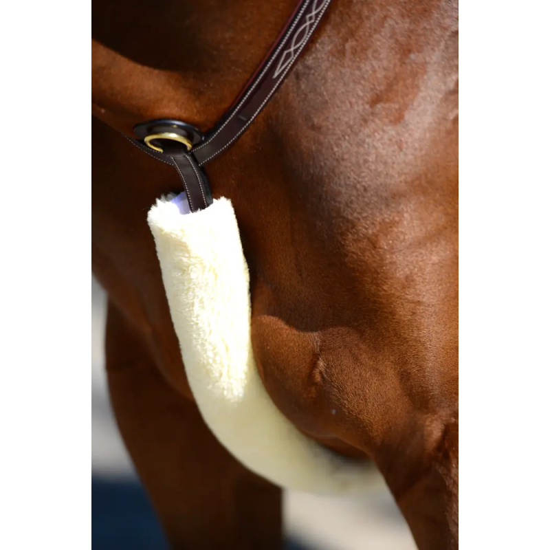 Sheepskin Breastplate cover - Kentucky