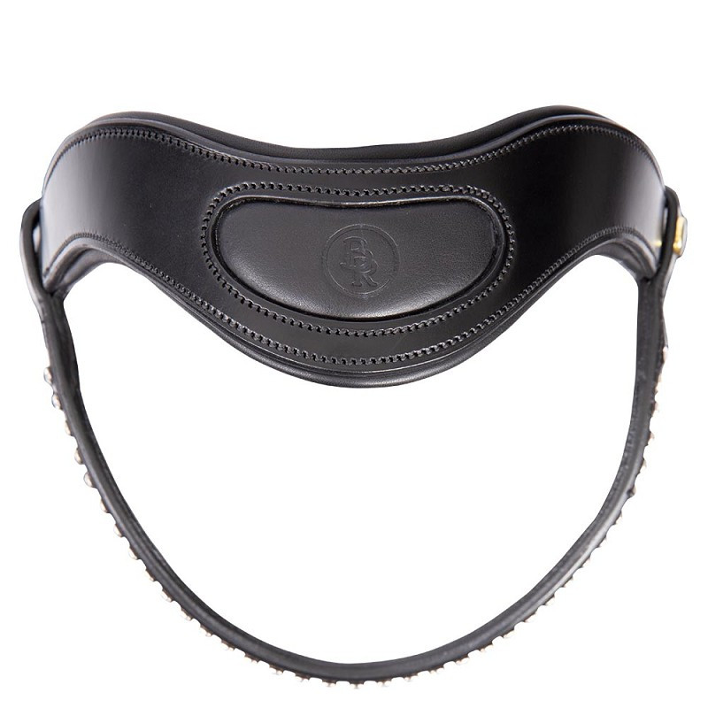 Bridle BR Stanley
