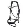 Bridle BR Stanley