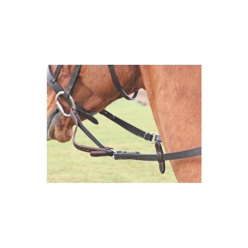 Flexi rein - Shires