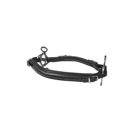 Muserolle Hackamore Calli