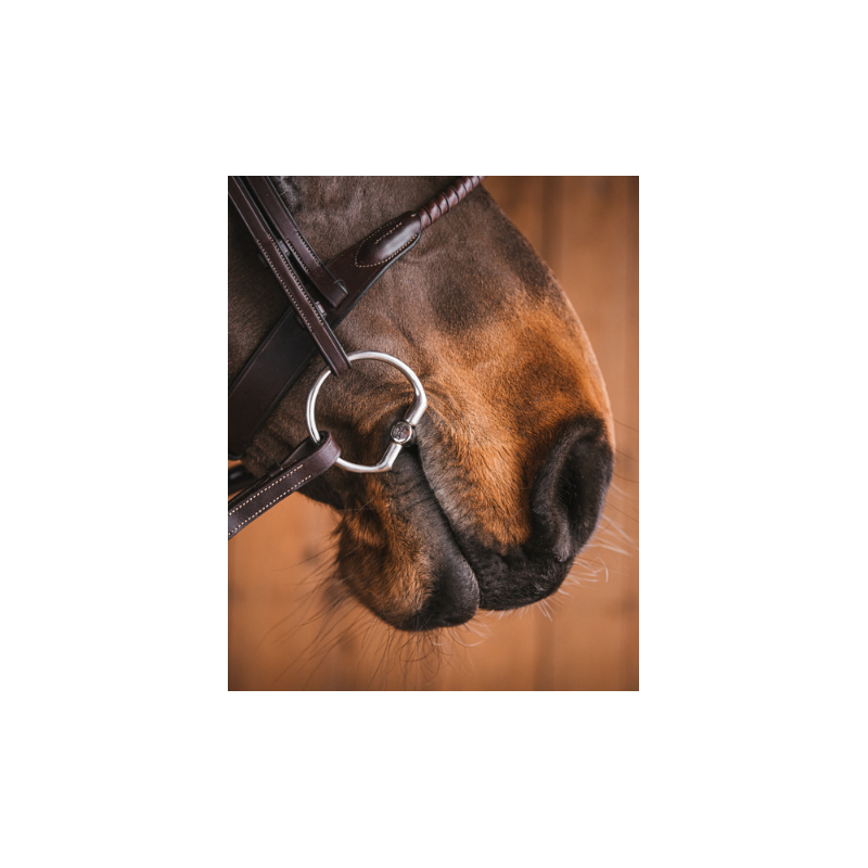 Lisa Fixed rings - Fager