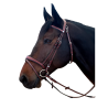 Flags & Cup New York Bridle