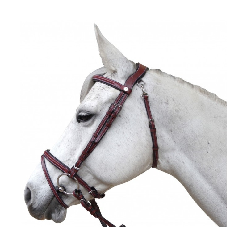 Flags & Cup Lanaken Bridle