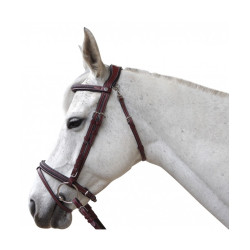 Flags & Cup Aachen Bridle