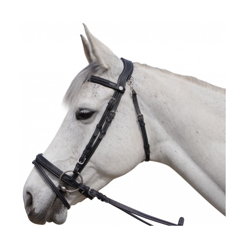 Flags & Cup Aachen Bridle