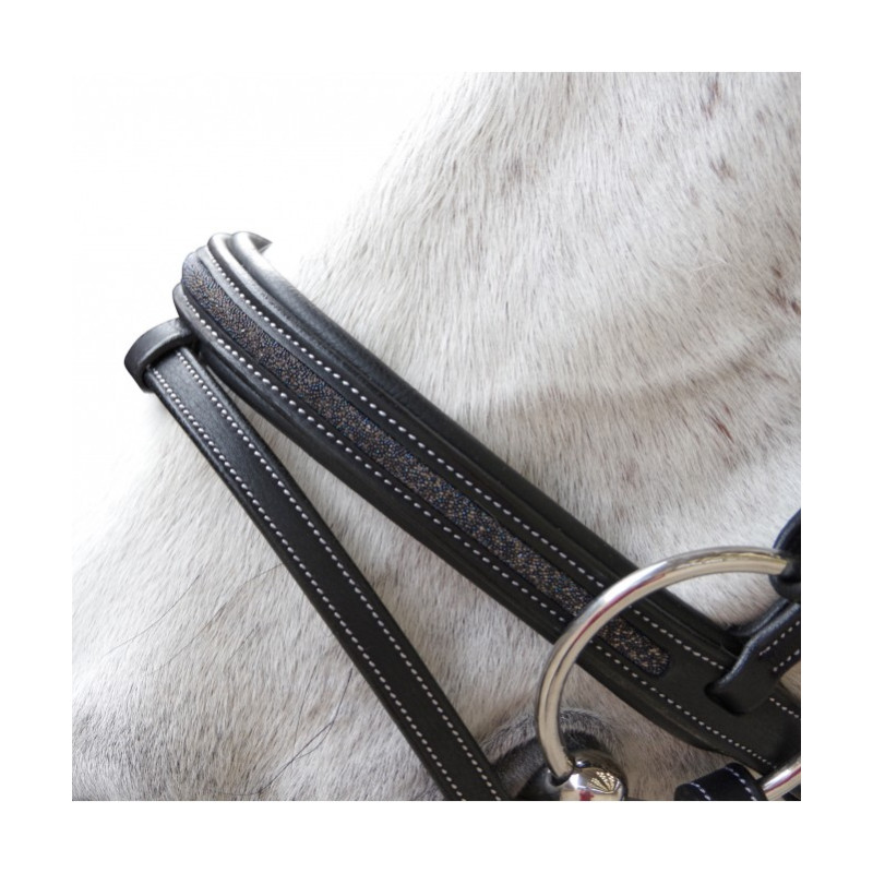 Flags & Cup Aachen Bridle