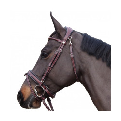 Flags & Cup Madrid Bridle