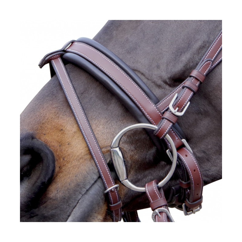 Flags & Cup Madrid Bridle