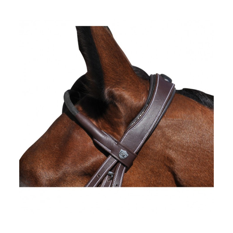 Flags & Cup Doha Bridle