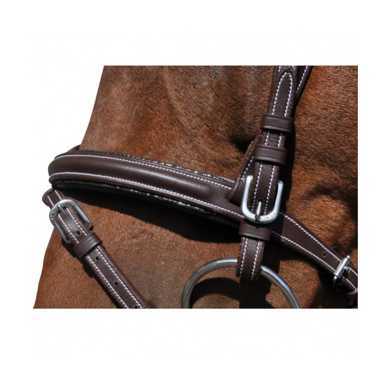 Flags & Cup Doha Bridle