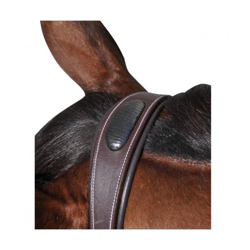 Flags & Cup Doha Bridle
