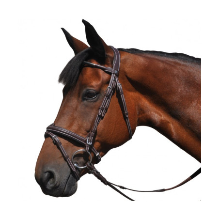 Flags & Cup Doha Bridle