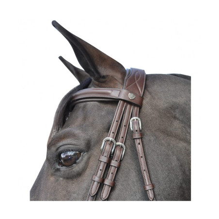 Flags & Cup Hickstead Bridle