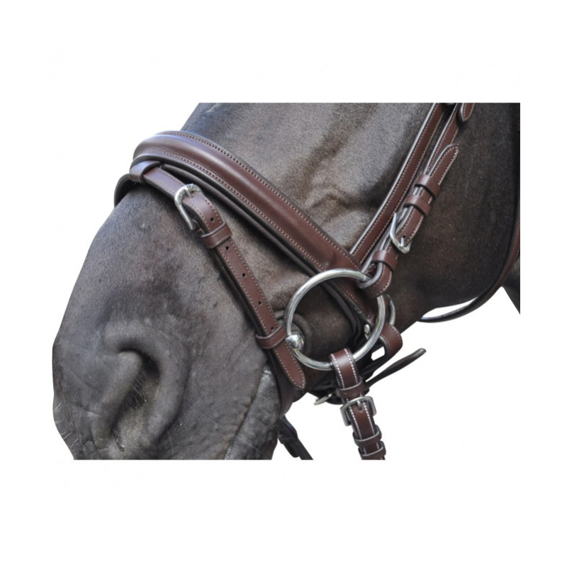 Flags & Cup Hickstead Bridle