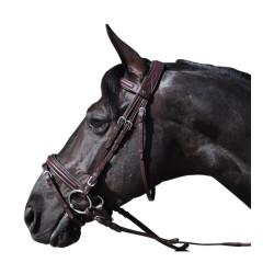 Flags & Cup Hickstead Bridle