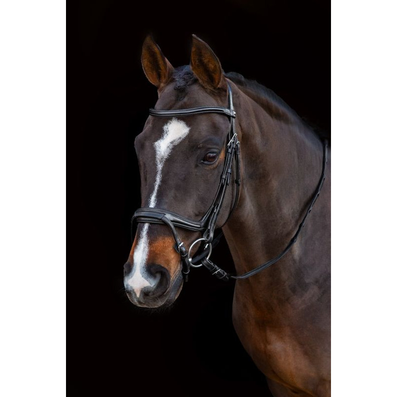 Select Ancona Bridle