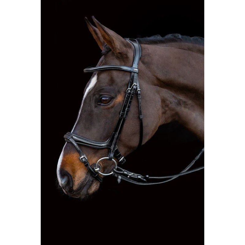 Select Ancona Bridle