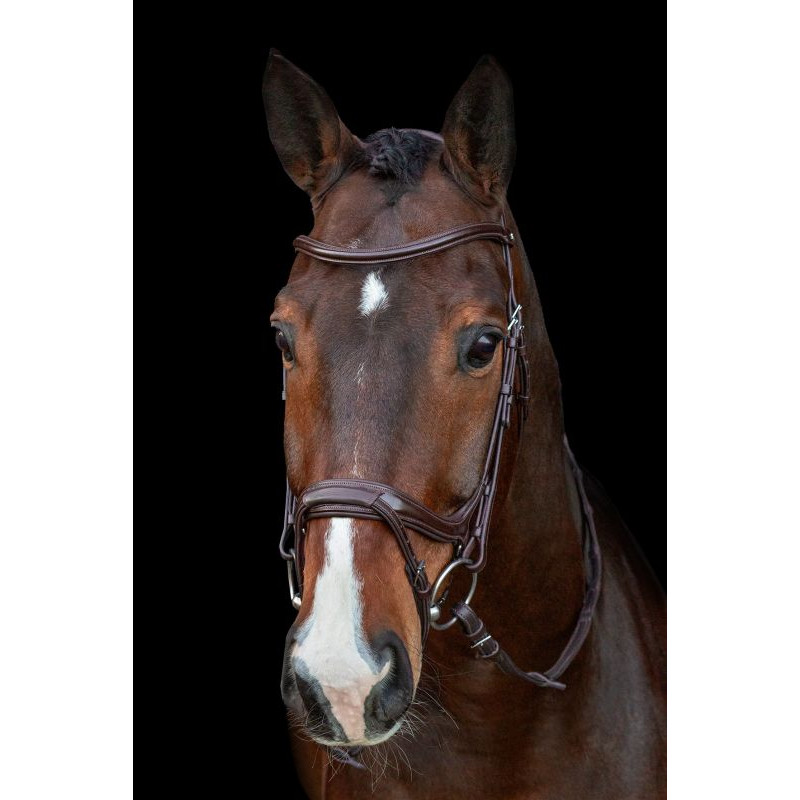 Select Ancona Bridle