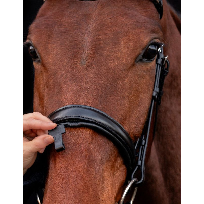 Malaga Bridle